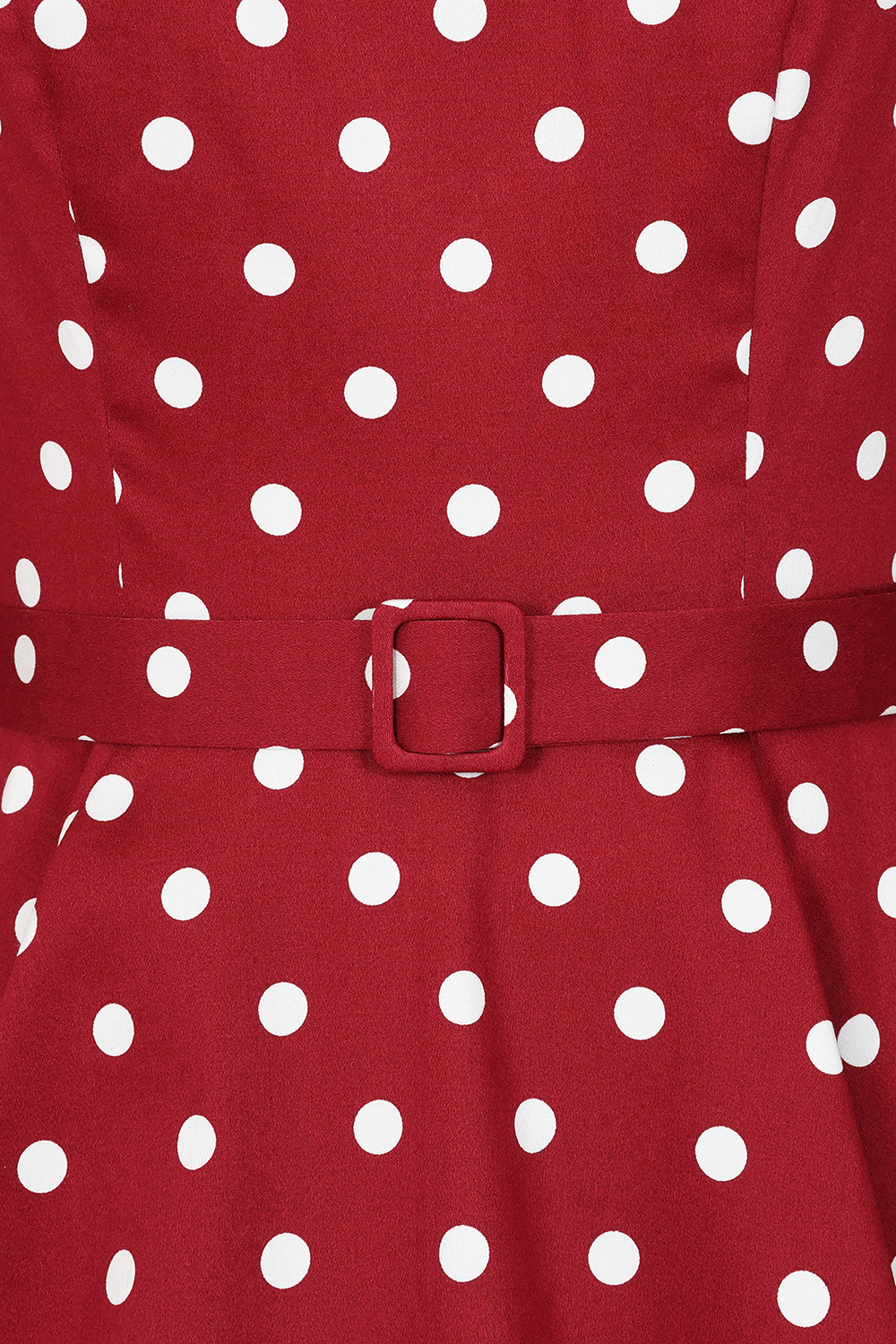 Rosetta Polka Dot Swing Dress in Plus Size